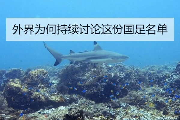 外界为何持续讨论这份国足名单